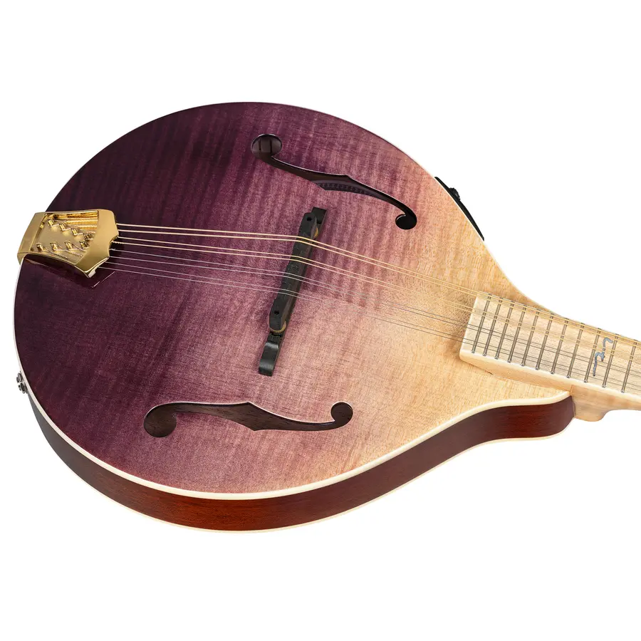 Ortega RMAE200PF Mandolin A-style m. mik och etui, Americana Series 