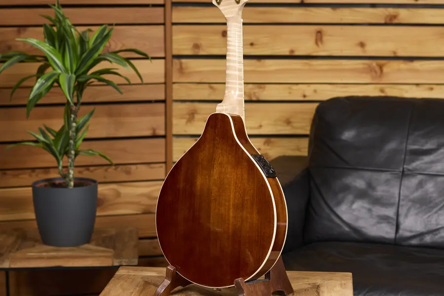 Ortega RMAE200PF Mandolin A-style m. mik och etui, Americana Series 