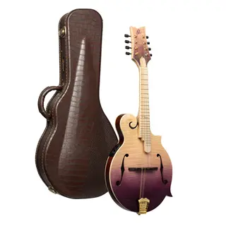 Ortega RMFE200PF Mandolin F-style m. mik och etui, Americana Series