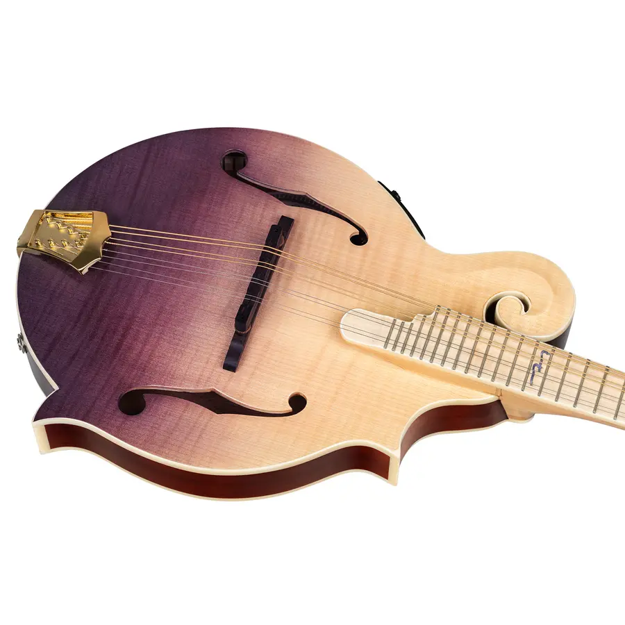 Ortega RMFE200PF Mandolin F-style m. mik och etui, Americana Series 