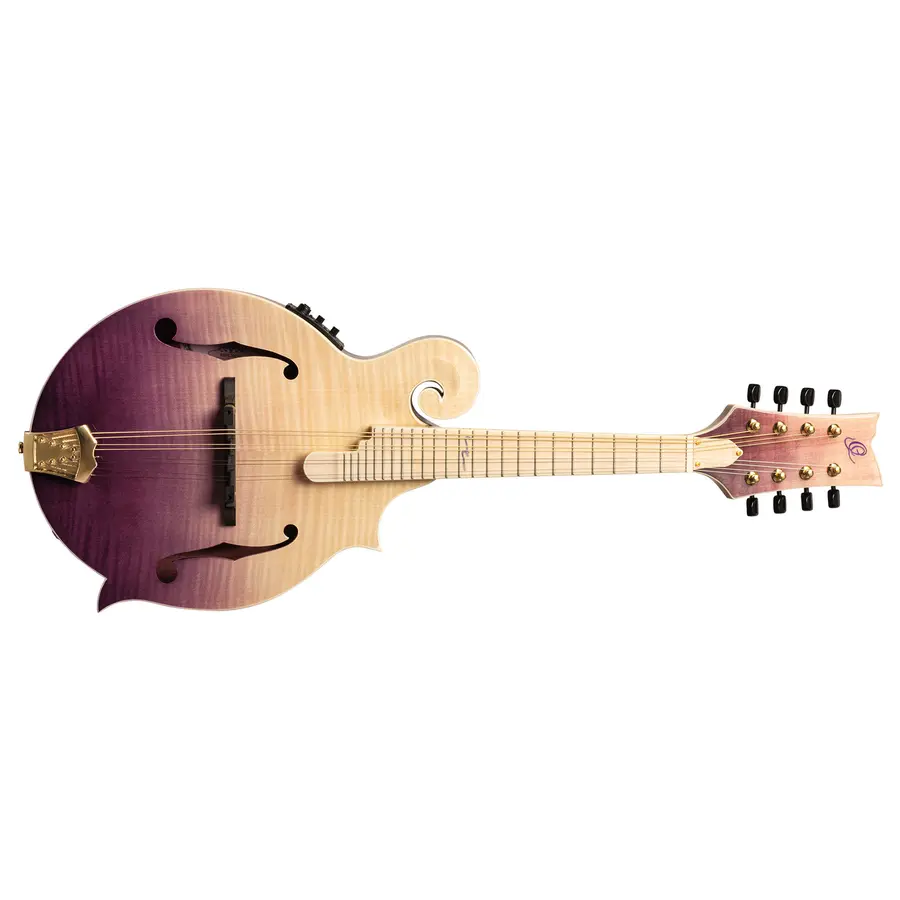 Ortega RMFE200PF Mandolin F-style m. mik och etui, Americana Series 