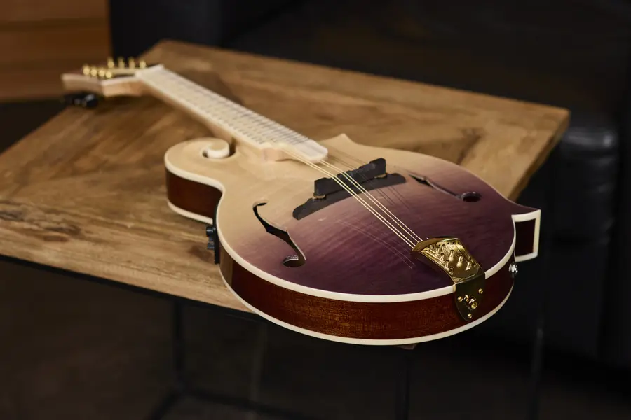 Ortega RMFE200PF Mandolin F-style m. mik och etui, Americana Series 