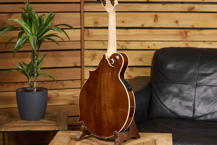 Ortega RMFE200PF Mandolin F-style m. mik och etui, Americana Series 