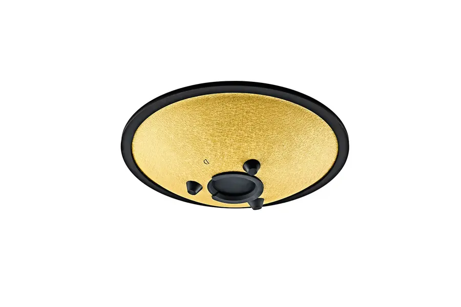 Meinl Sonic Energy CSTD3G Compact Steel Tongue Drum, D Minor, Gold 