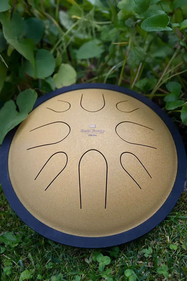 Meinl Sonic Energy CSTD3G Compact Steel Tongue Drum, D Minor, Gold 