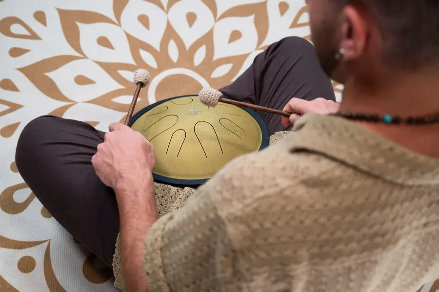 Meinl Sonic Energy CSTD3G Compact Steel Tongue Drum, D Minor, Gold 