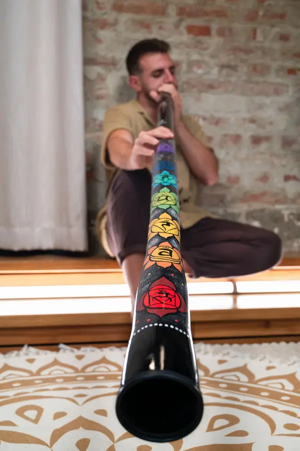 Meinl Sonic Energy DDCHA Chakra Didgeridoo 