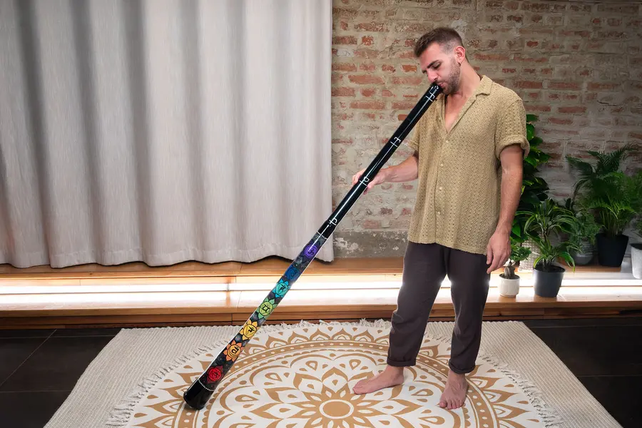 Meinl Sonic Energy DDCHA Chakra Didgeridoo 