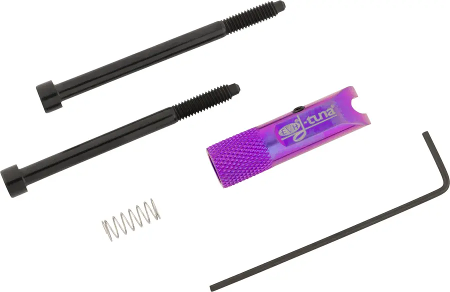 EVH D-Tuna Titanium, Purple 