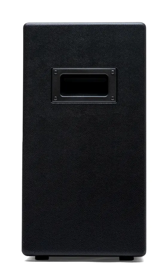 Positive Grid Spark CAB 2 Black 