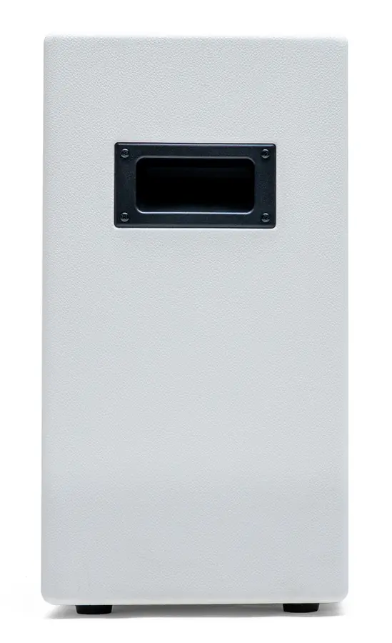 Positive Grid Spark CAB 2 Pearl 