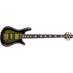 Spector Icon NS5 Neck Through - Haunted Moss