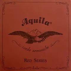 Aquila 1M