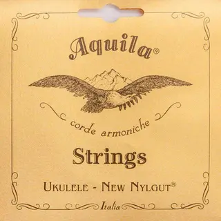 Aquila 31U