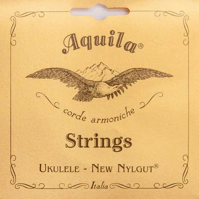 Aquila 31U 
